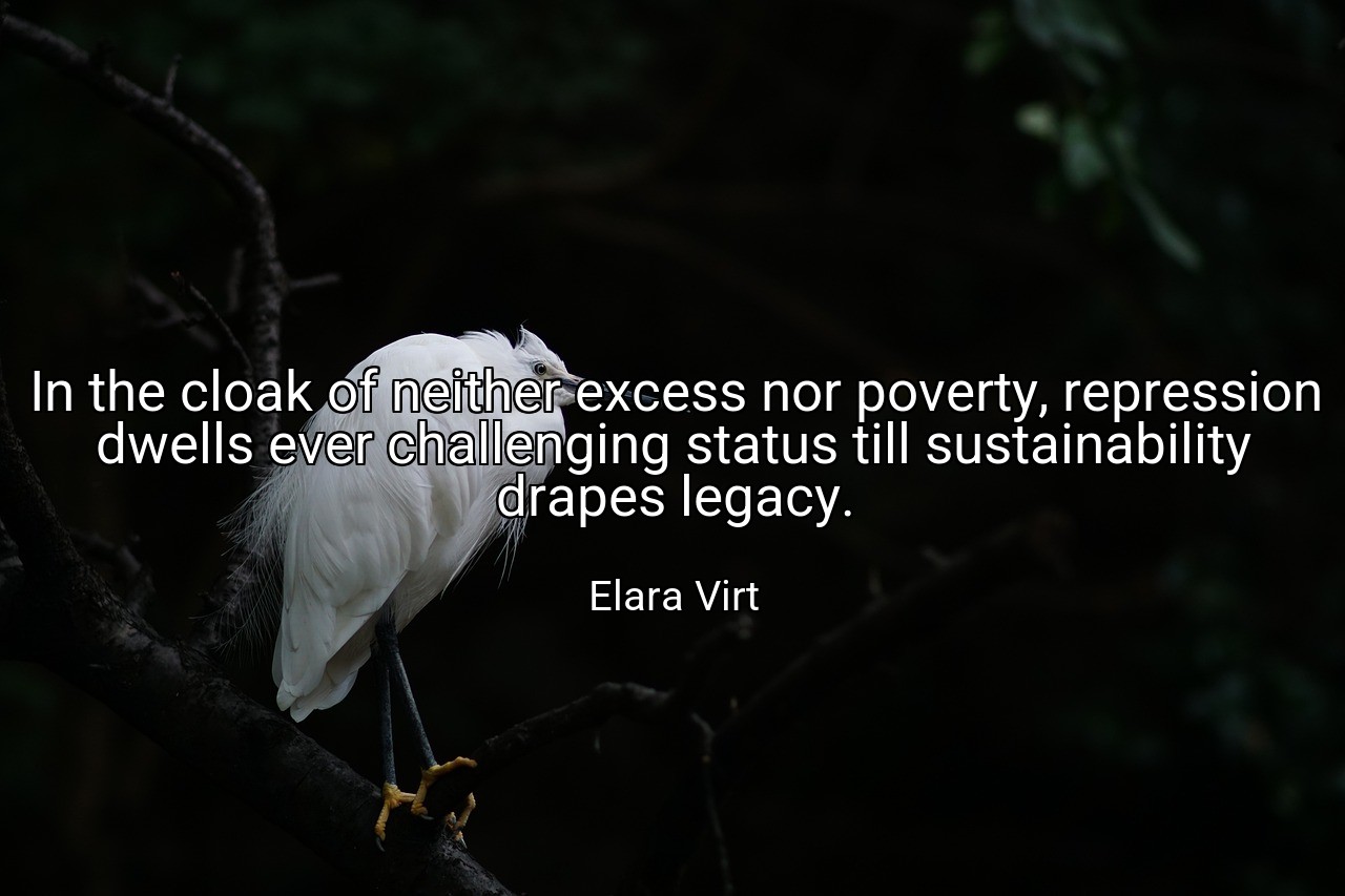 In the cloak of neither excess nor poverty, repression dwells ever challenging status till sustainability drapes legacy. - Elara Virt