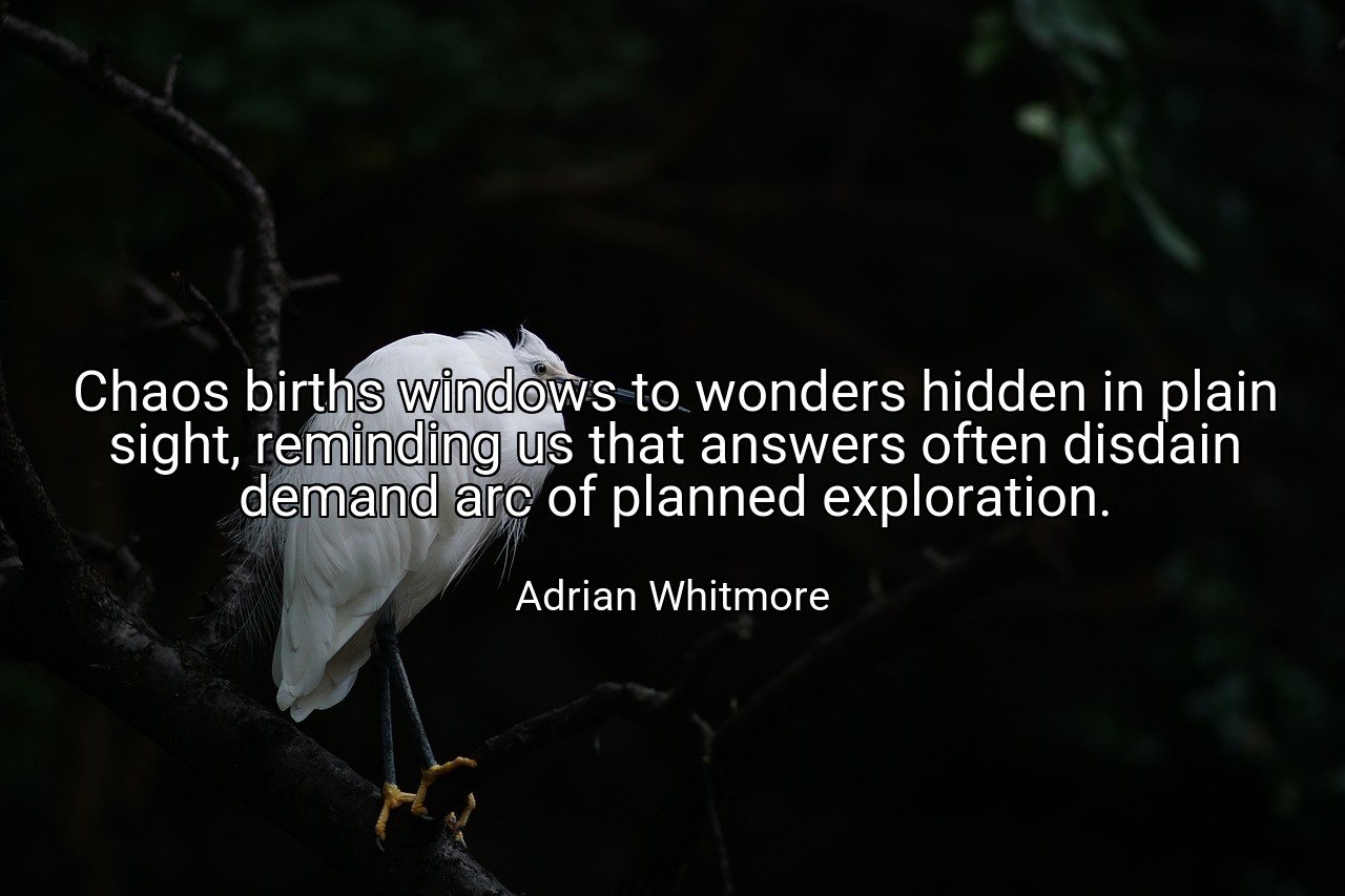 Chaos births windows to wonders hidden in plain sight, reminding us that answers often disdain demand arc of planned exploration. - Adrian Whitmore