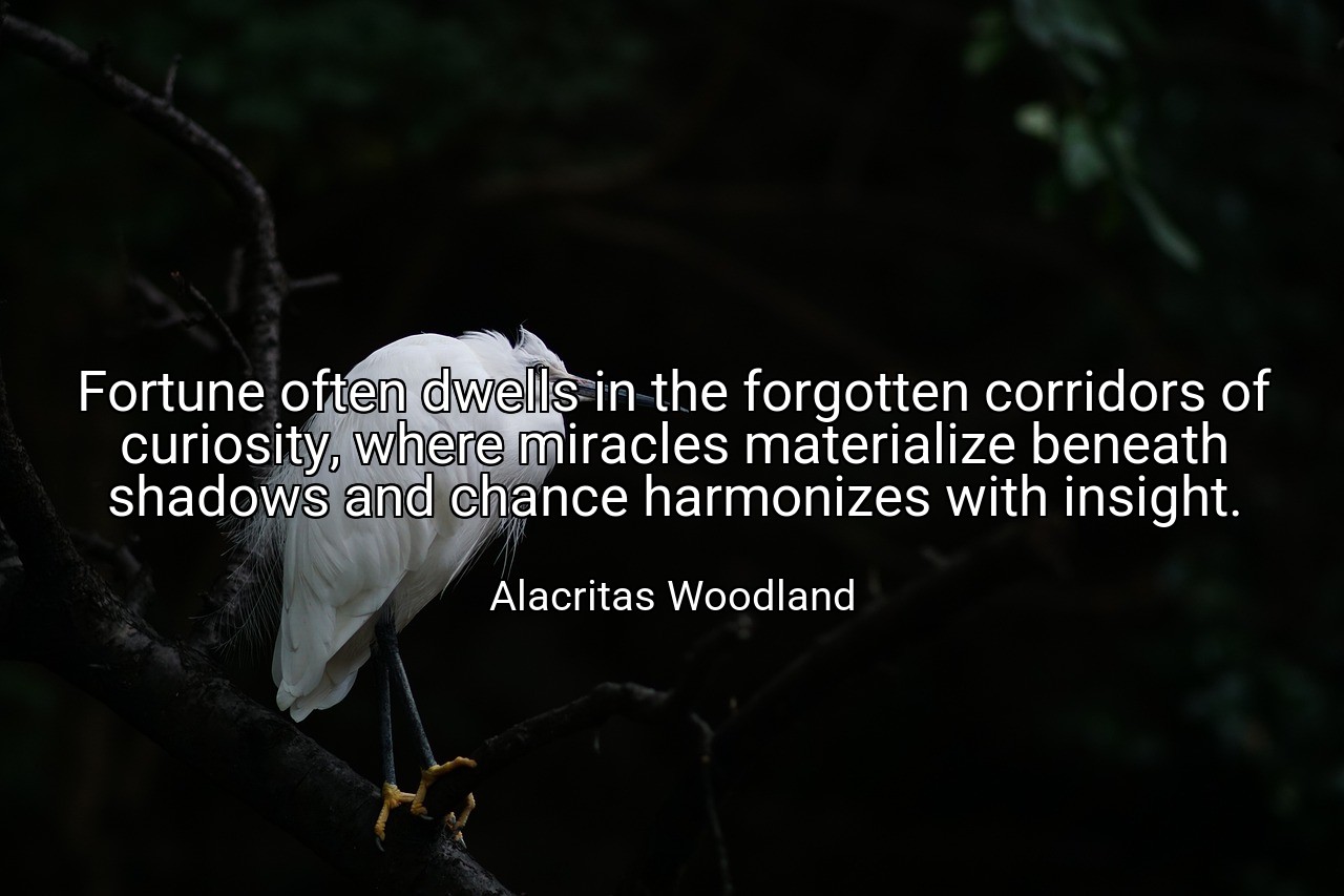 Fortune often dwells in the forgotten corridors of curiosity, where miracles materialize beneath shadows and chance harmonizes with insight. - Alacritas Woodland