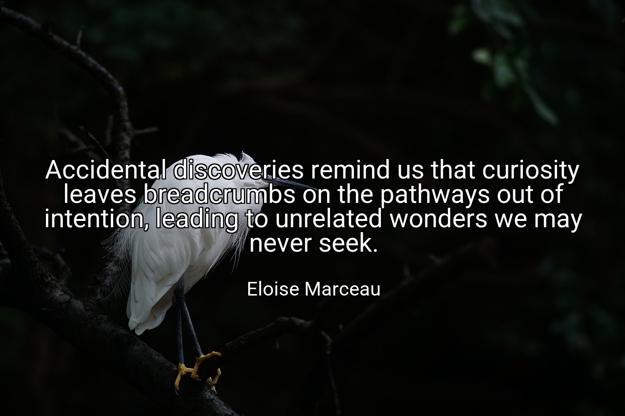 Accidental discoveries remind us that curiosity leaves breadcrumbs on the pathways out of intention, leading to unrelated wonders we may never seek. - Eloise Marceau