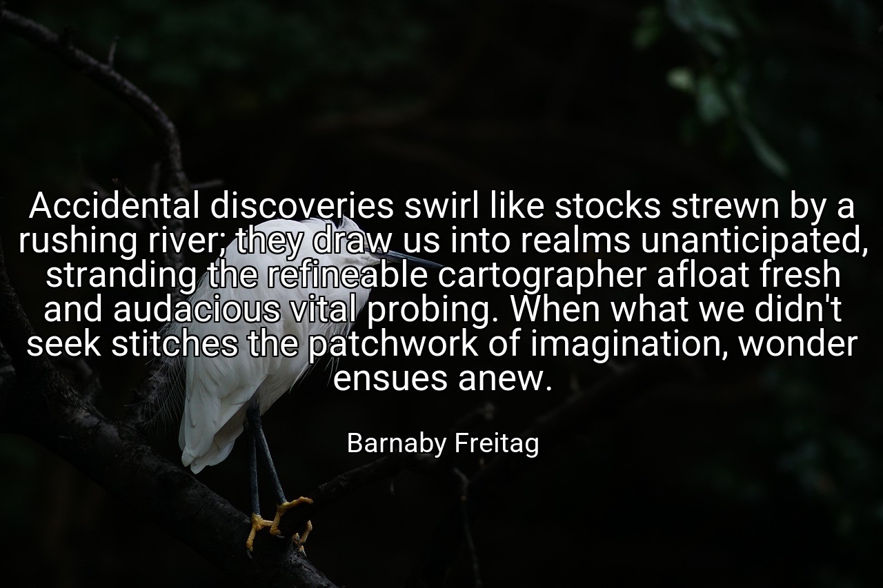 Accidental discoveries swirl like stocks strewn by a rushing river; they draw us into realms unanticipated, stranding the refineable cartographer afloat fresh and audacious vital probing. When what we didn't seek stitches the patchwork of imagination, wonder ensues anew. - Barnaby Freitag