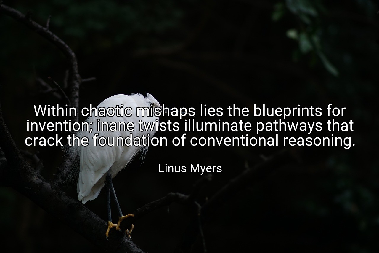 Within chaotic mishaps lies the blueprints for invention; inane twists illuminate pathways that crack the foundation of conventional reasoning. - Linus Myers