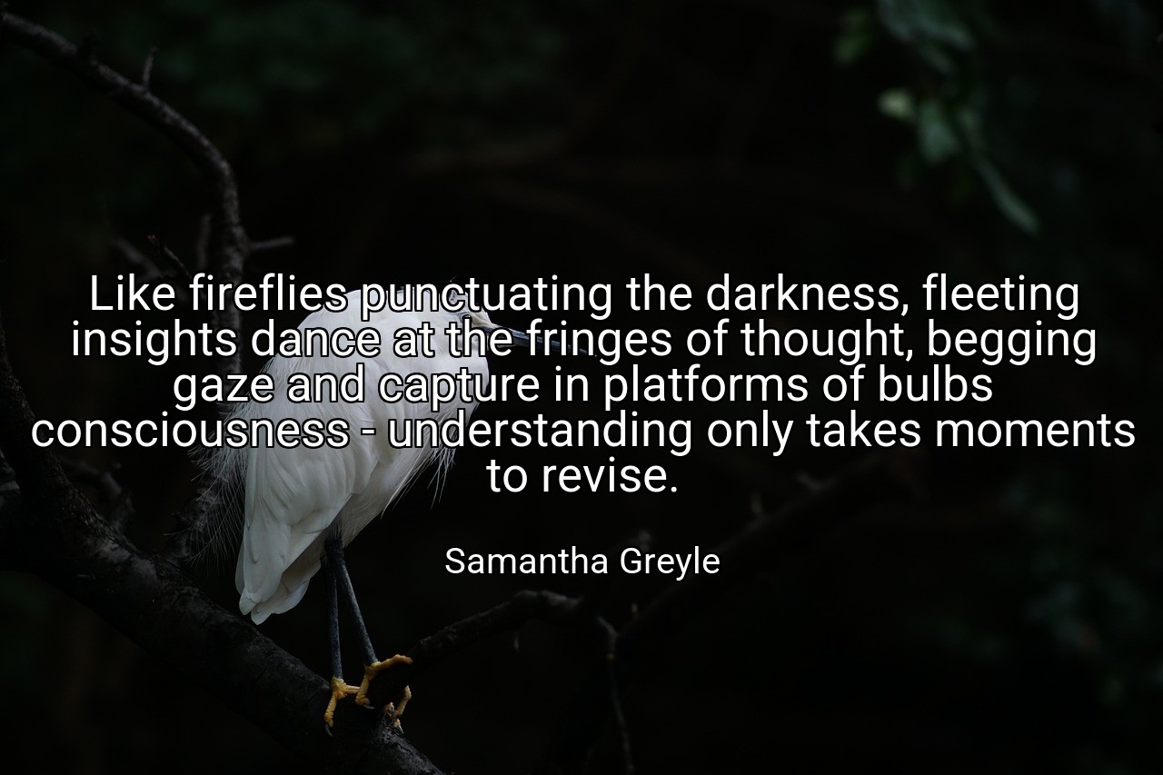 Like fireflies punctuating the darkness, fleeting insights dance at the fringes of thought, begging gaze and capture in platforms of bulbs consciousness - understanding only takes moments to revise. - Samantha Greyle