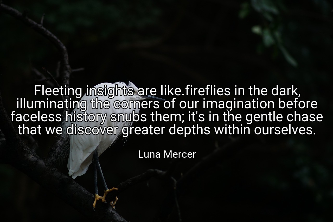 Fleeting insights are like.fireflies in the dark, illuminating the corners of our imagination before faceless history snubs them; it's in the gentle chase that we discover greater depths within ourselves. - Luna Mercer