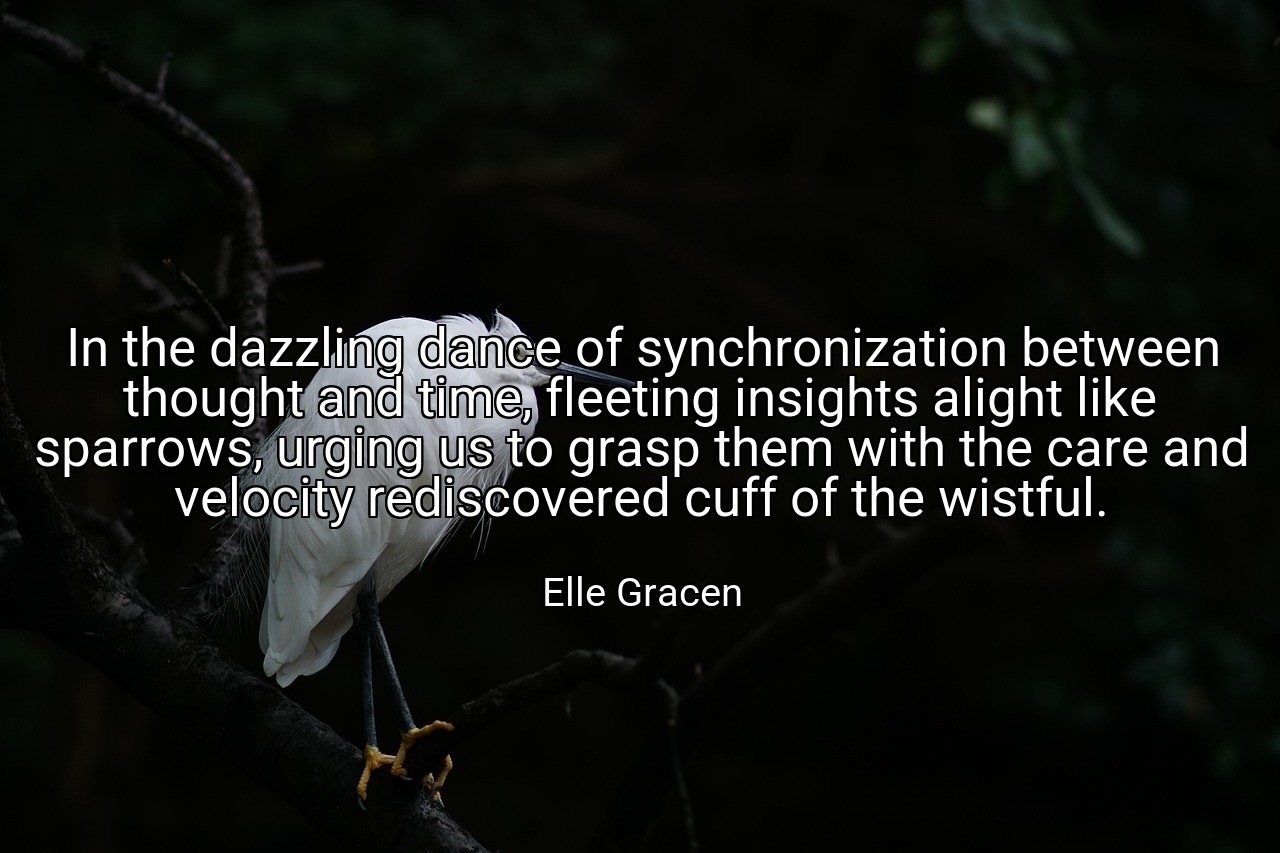In the dazzling dance of synchronization between thought and time, fleeting insights alight like sparrows, urging us to grasp them with the care and velocity rediscovered cuff of the wistful. - Elle Gracen