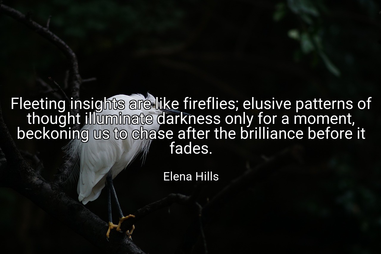 Fleeting insights are like fireflies; elusive patterns of thought illuminate darkness only for a moment, beckoning us to chase after the brilliance before it fades. - Elena Hills