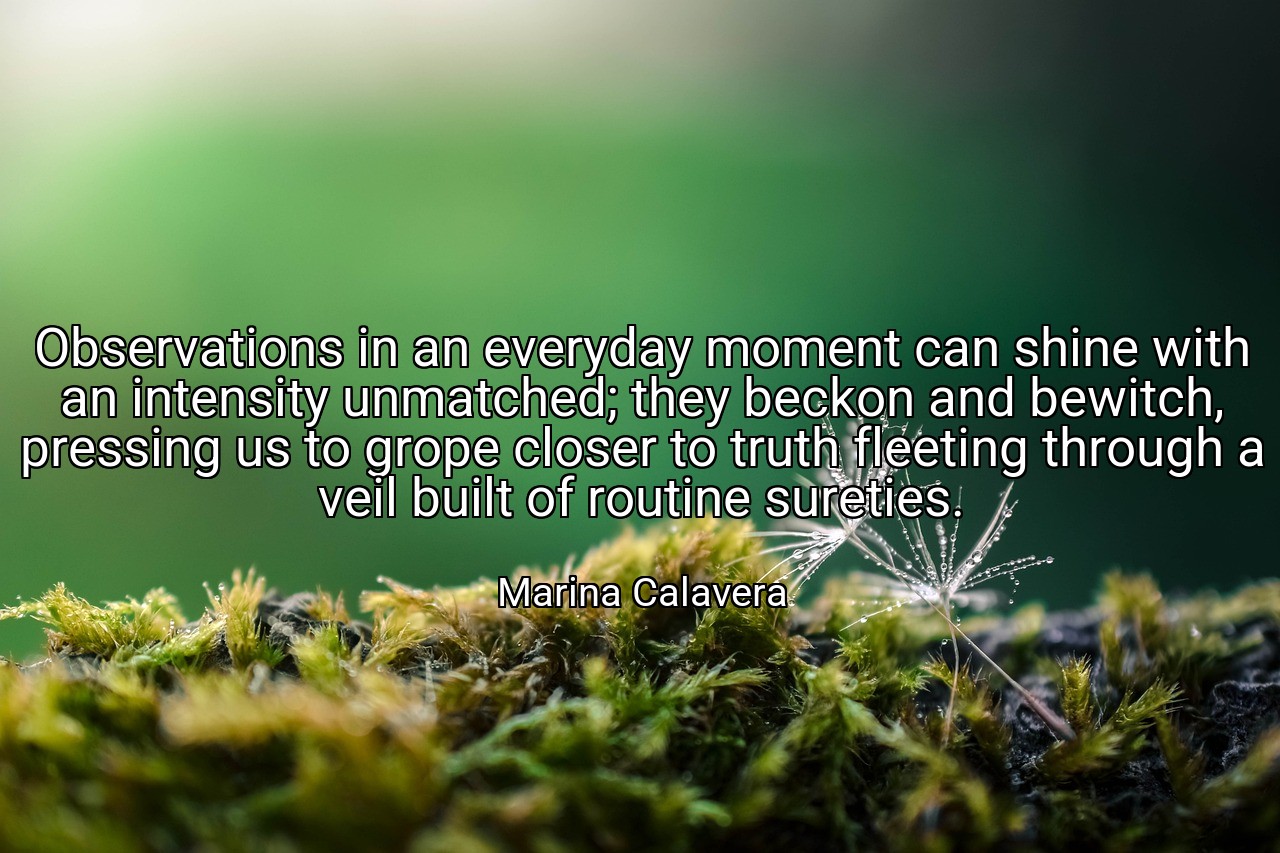 Observations in an everyday moment can shine with an intensity unmatched; they beckon and bewitch, pressing us to grope closer to truth fleeting through a veil built of routine sureties. - Marina Calavera