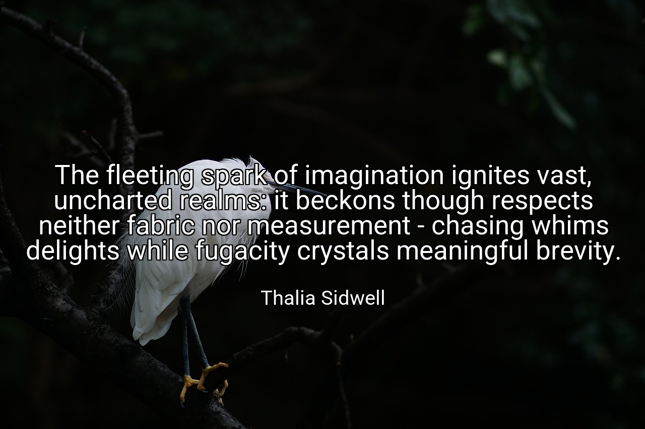 The fleeting spark of imagination ignites vast, uncharted realms: it beckons though respects neither fabric nor measurement - chasing whims delights while fugacity crystals meaningful brevity. - Thalia Sidwell