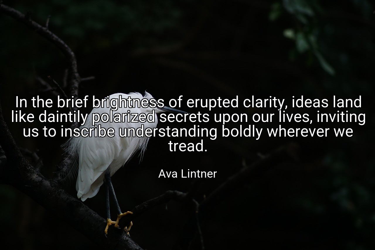 In the brief brightness of erupted clarity, ideas land like daintily polarized secrets upon our lives, inviting us to inscribe understanding boldly wherever we tread. - Ava Lintner