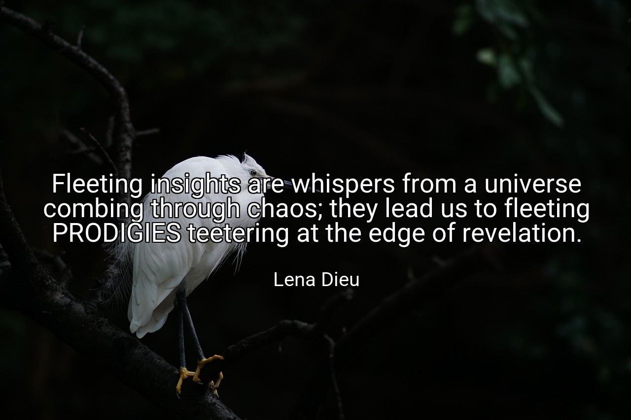 Fleeting insights are whispers from a universe combing through chaos; they lead us to fleeting PRODIGIES teetering at the edge of revelation. - Lena Dieu
