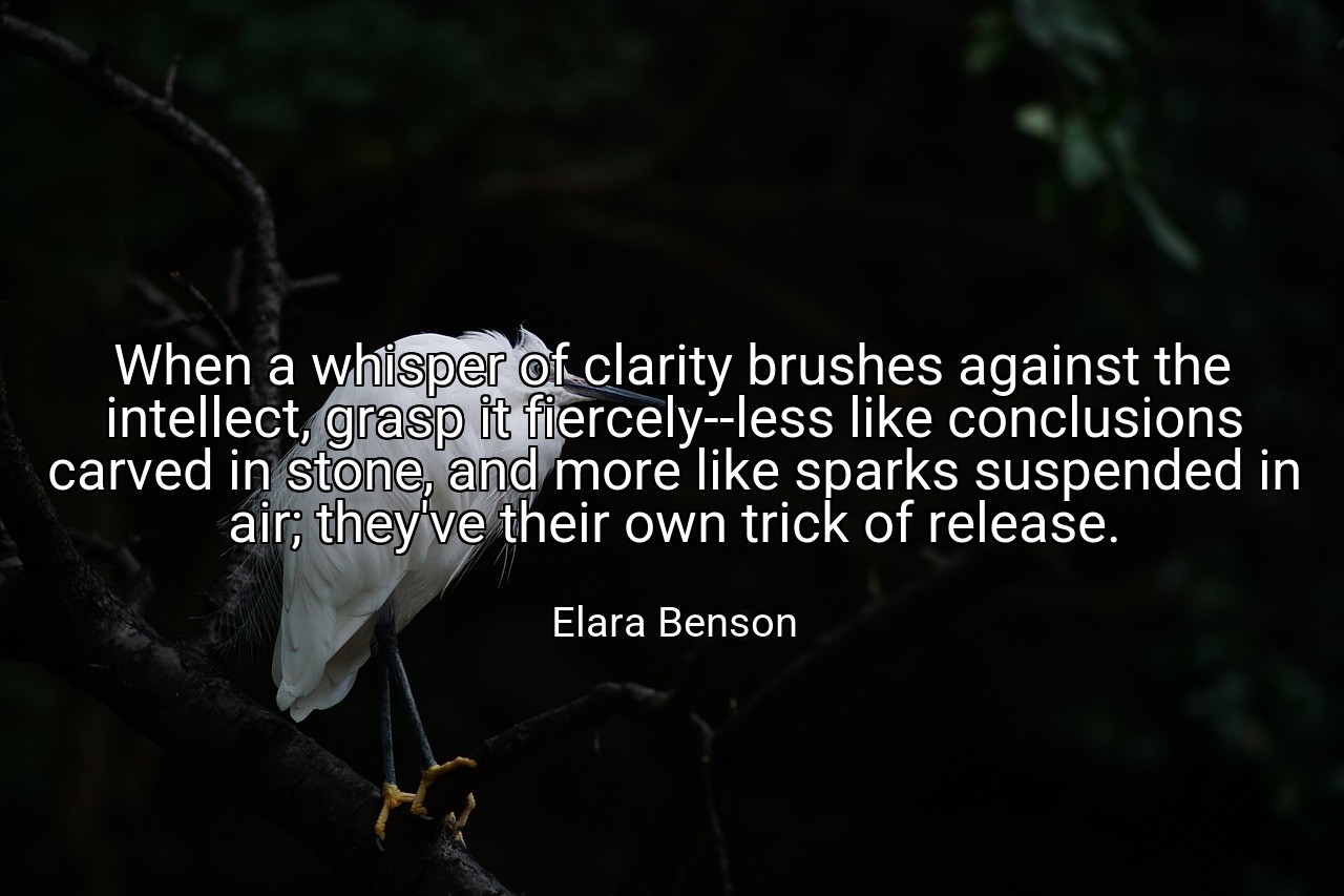 When a whisper of clarity brushes against the intellect, grasp it fiercely--less like conclusions carved in stone, and more like sparks suspended in air; they've their own trick of release. - Elara Benson