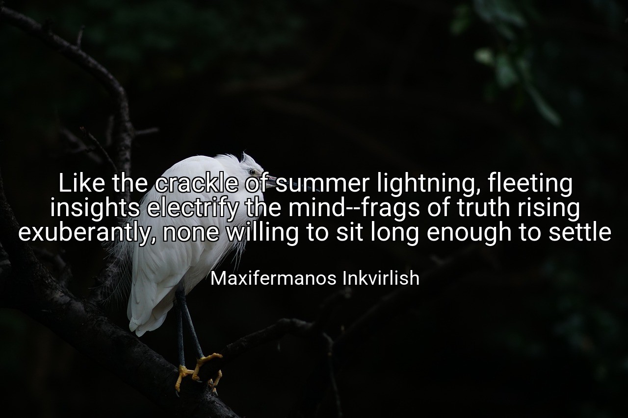Like the crackle of summer lightning, fleeting insights electrify the mind--frags of truth rising exuberantly, none willing to sit long enough to settle - Maxifermanos Inkvirlish