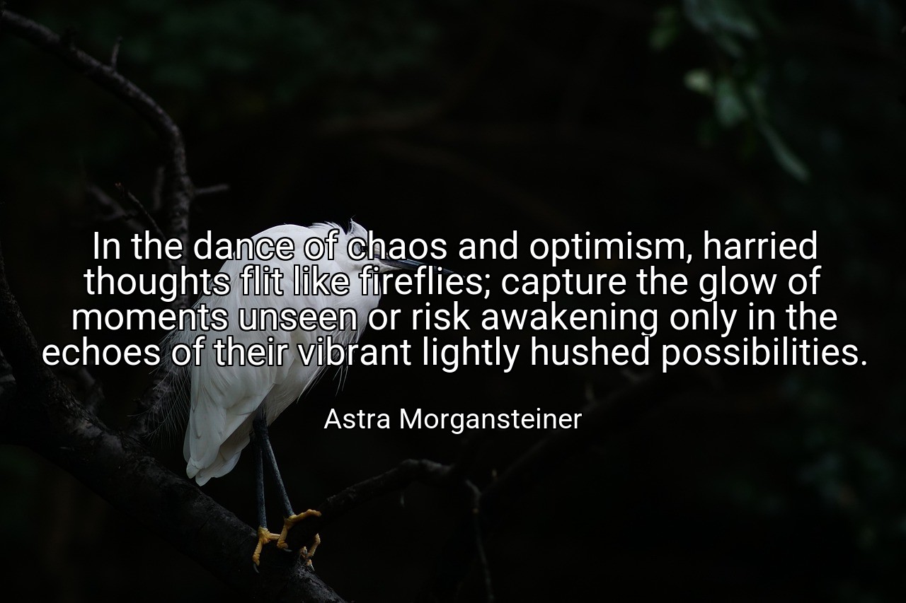 In the dance of chaos and optimism, harried thoughts flit like fireflies; capture the glow of moments unseen or risk awakening only in the echoes of their vibrant lightly hushed possibilities. - Astra Morgansteiner