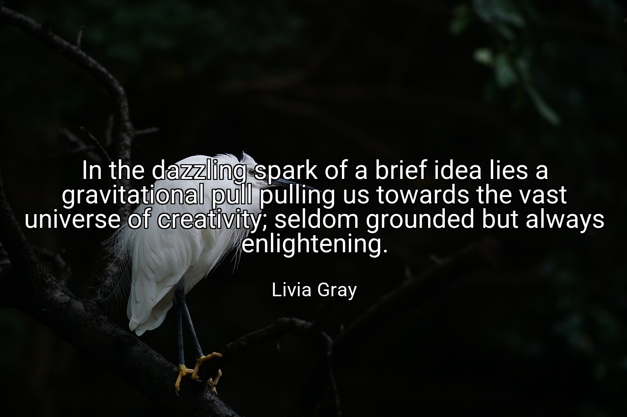 In the dazzling spark of a brief idea lies a gravitational pull pulling us towards the vast universe of creativity; seldom grounded but always enlightening. - Livia Gray