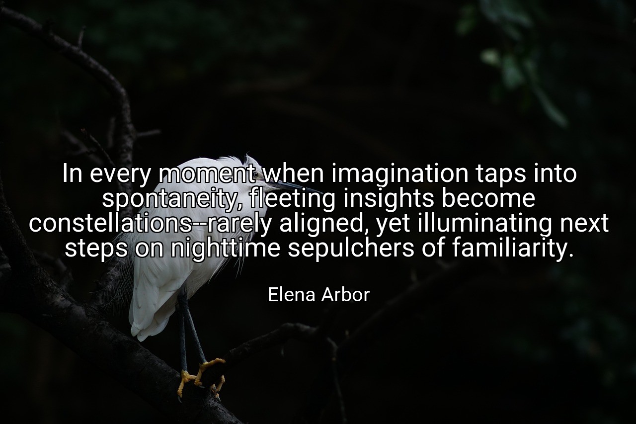 In every moment when imagination taps into spontaneity, fleeting insights become constellations--rarely aligned, yet illuminating next steps on nighttime sepulchers of familiarity. - Elena Arbor