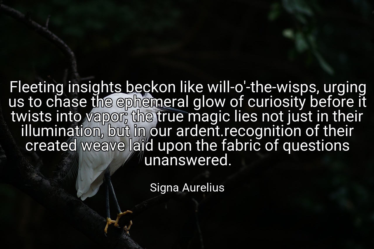 Fleeting insights beckon like will-o'-the-wisps, urging us to chase the ephemeral glow of curiosity before it twists into vapor; the true magic lies not just in their illumination, but in our ardent.recognition of their created weave laid upon the fabric of questions unanswered. - Signa Aurelius