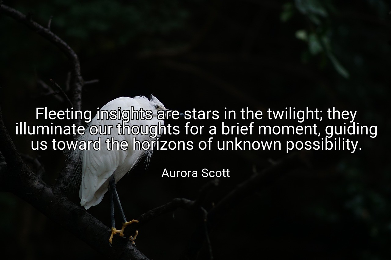 Fleeting insights are stars in the twilight; they illuminate our thoughts for a brief moment, guiding us toward the horizons of unknown possibility. - Aurora Scott