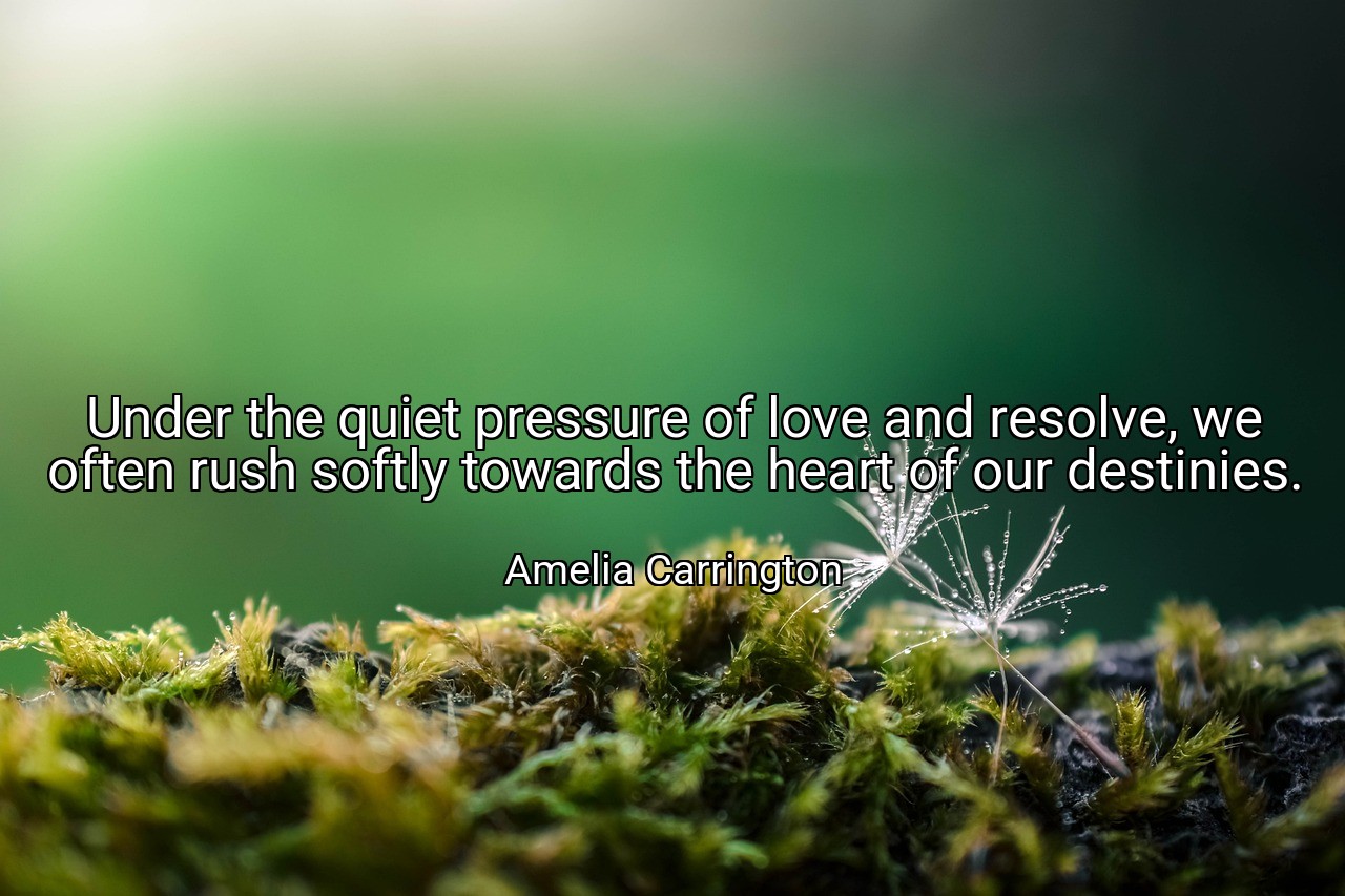 Under the quiet pressure of love and resolve, we often rush softly towards the heart of our destinies. - Amelia Carrington
