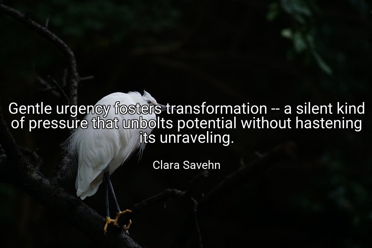 Gentle urgency fosters transformation -- a silent kind of pressure that unbolts potential without hastening its unraveling. - Clara Savehn