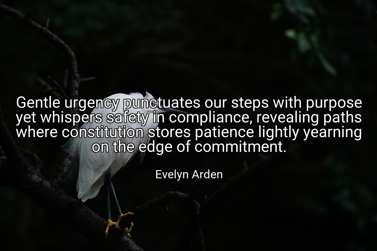 Gentle urgency punctuates our steps with purpose yet whispers safety in compliance, revealing paths where constitution stores patience lightly yearning on the edge of commitment. - Evelyn Arden