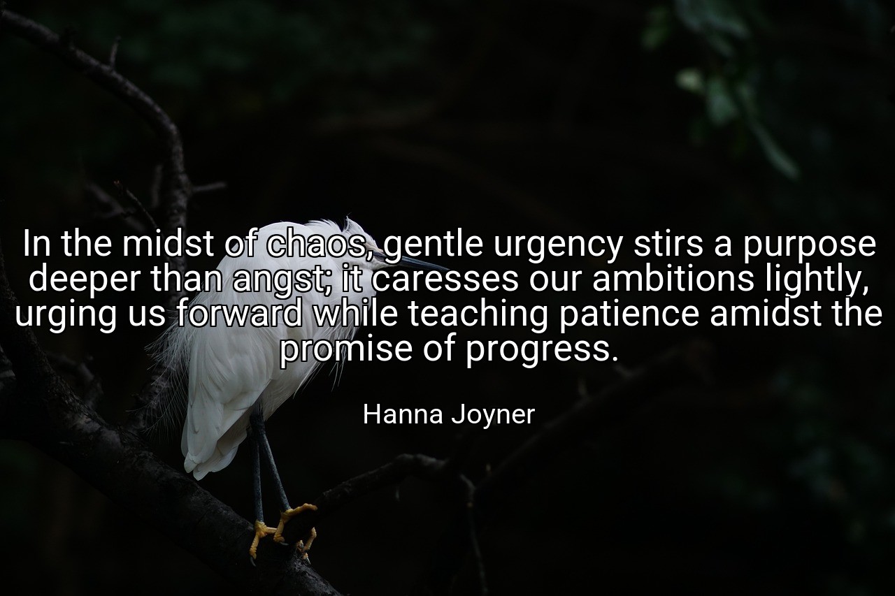 In the midst of chaos, gentle urgency stirs a purpose deeper than angst; it caresses our ambitions lightly, urging us forward while teaching patience amidst the promise of progress. - Hanna Joyner