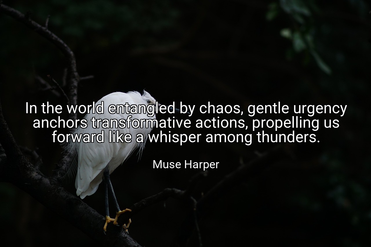 In the world entangled by chaos, gentle urgency anchors transformative actions, propelling us forward like a whisper among thunders. - Muse Harper