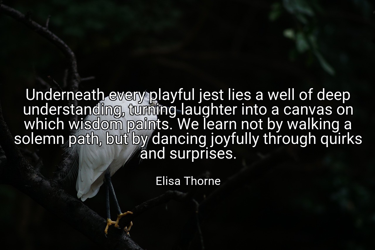 Underneath every playful jest lies a well of deep understanding, turning laughter into a canvas on which wisdom paints. We learn not by walking a solemn path, but by dancing joyfully through quirks and surprises. - Elisa Thorne