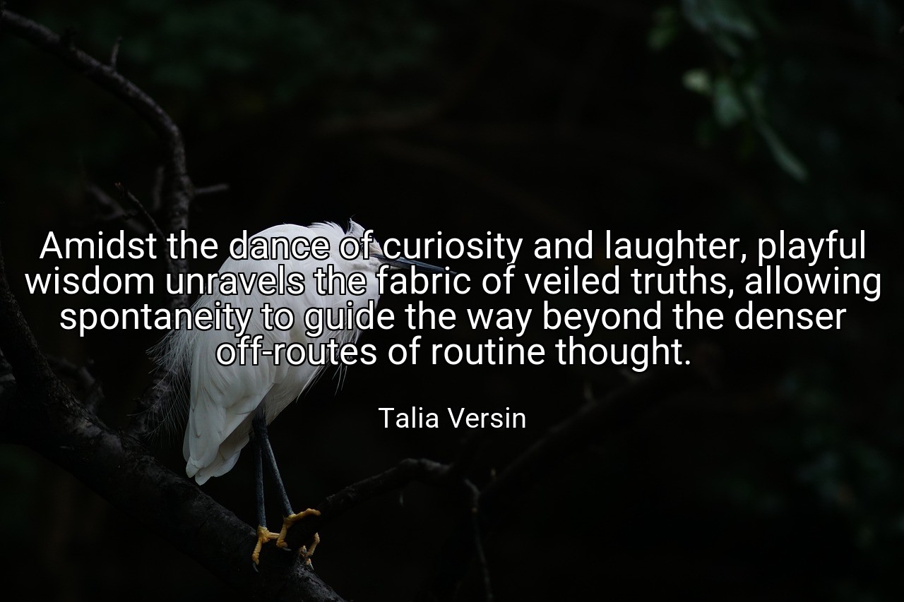 Amidst the dance of curiosity and laughter, playful wisdom unravels the fabric of veiled truths, allowing spontaneity to guide the way beyond the denser off-routes of routine thought. - Talia Versin