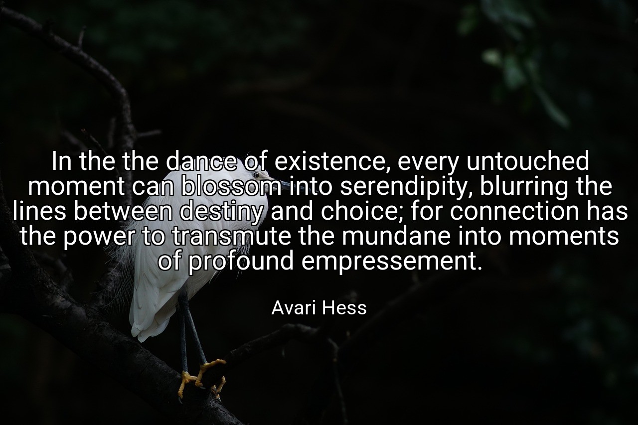 In the the dance of existence, every untouched moment can blossom into serendipity, blurring the lines between destiny and choice; for connection has the power to transmute the mundane into moments of profound empressement. - Avari Hess