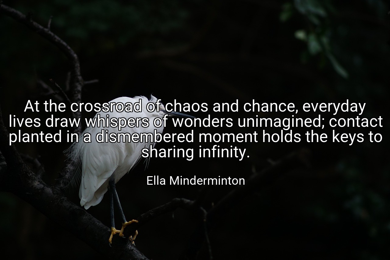 At the crossroad of chaos and chance, everyday lives draw whispers of wonders unimagined; contact planted in a dismembered moment holds the keys to sharing infinity. - Ella Minderminton