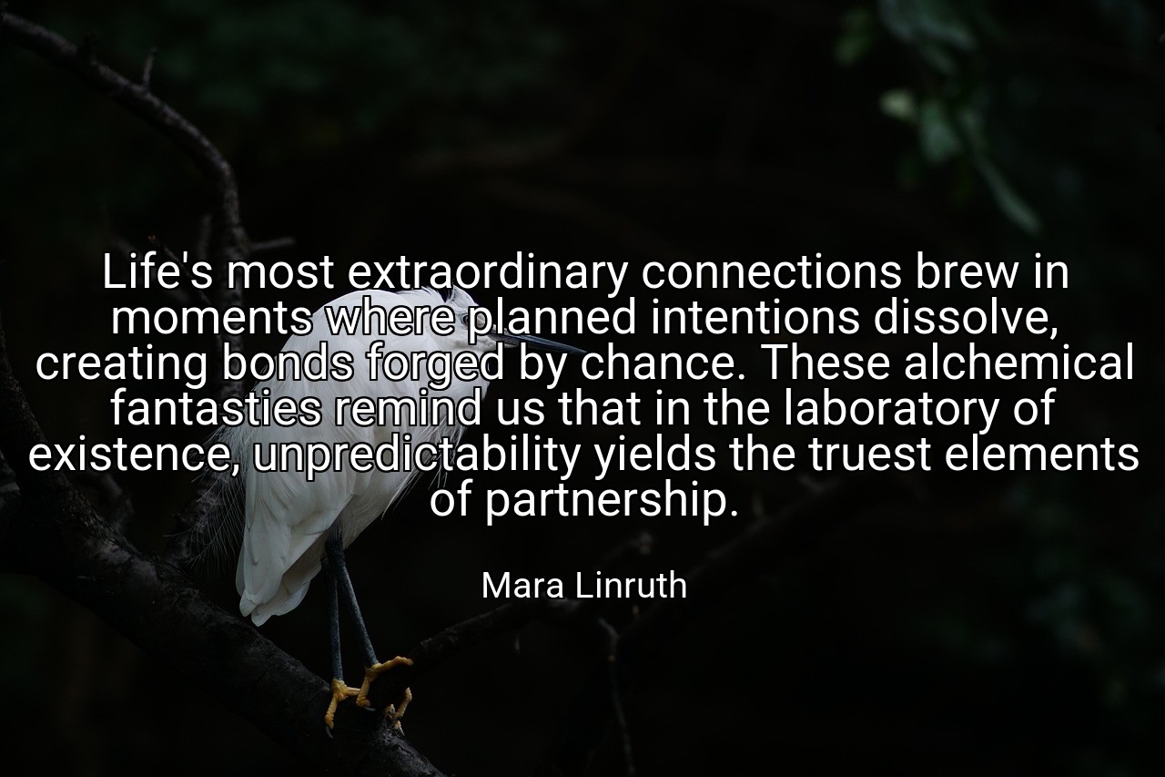 Life's most extraordinary connections brew in moments where planned intentions dissolve, creating bonds forged by chance. These alchemical fantasties remind us that in the laboratory of existence, unpredictability yields the truest elements of partnership. - Mara Linruth