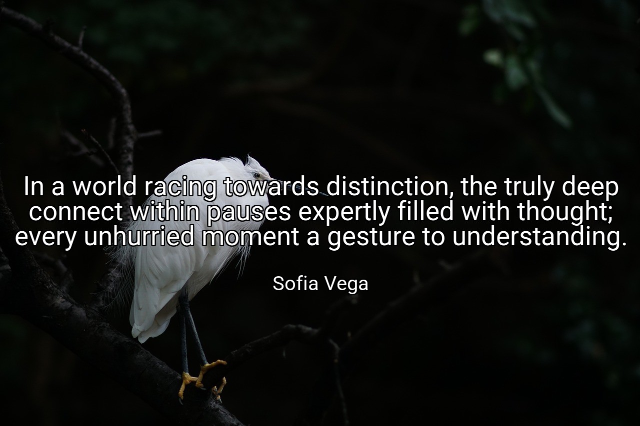 In a world racing towards distinction, the truly deep connect within pauses expertly filled with thought; every unhurried moment a gesture to understanding. - Sofia Vega