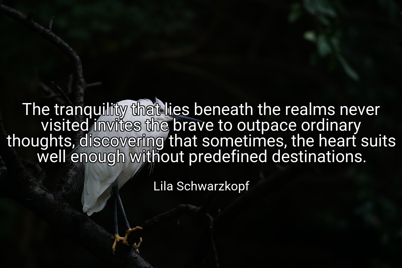 The tranquility that lies beneath the realms never visited invites the brave to outpace ordinary thoughts, discovering that sometimes, the heart suits well enough without predefined destinations. - Lila Schwarzkopf