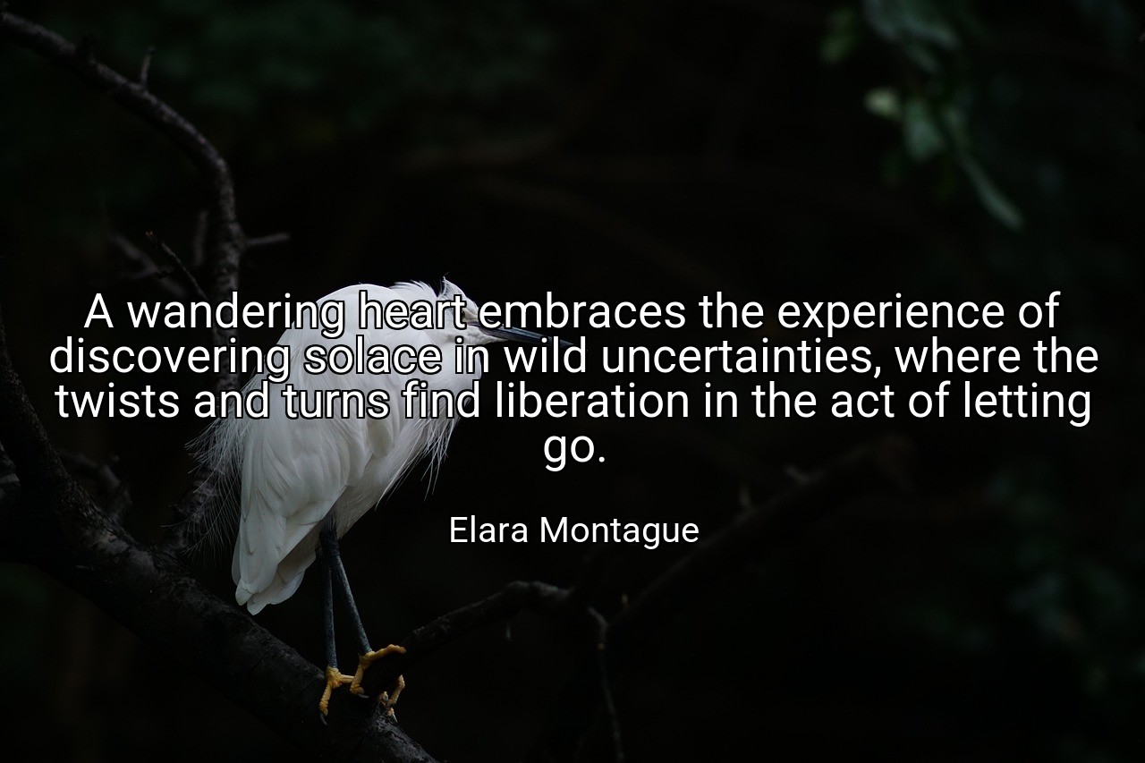 A wandering heart embraces the experience of discovering solace in wild uncertainties, where the twists and turns find liberation in the act of letting go. - Elara Montague