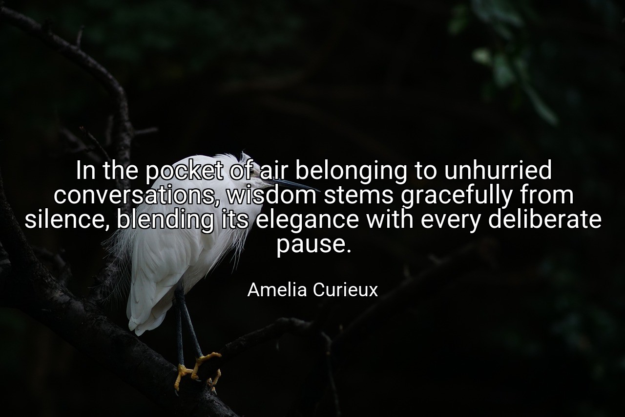 In the pocket of air belonging to unhurried conversations, wisdom stems gracefully from silence, blending its elegance with every deliberate pause. - Amelia Curieux