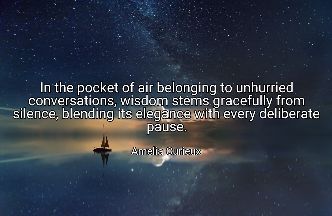 In the pocket of air belonging to unhurried conversations, wisdom stems gracefully from silence, blending its elegance with every deliberate pause. - Amelia Curieux