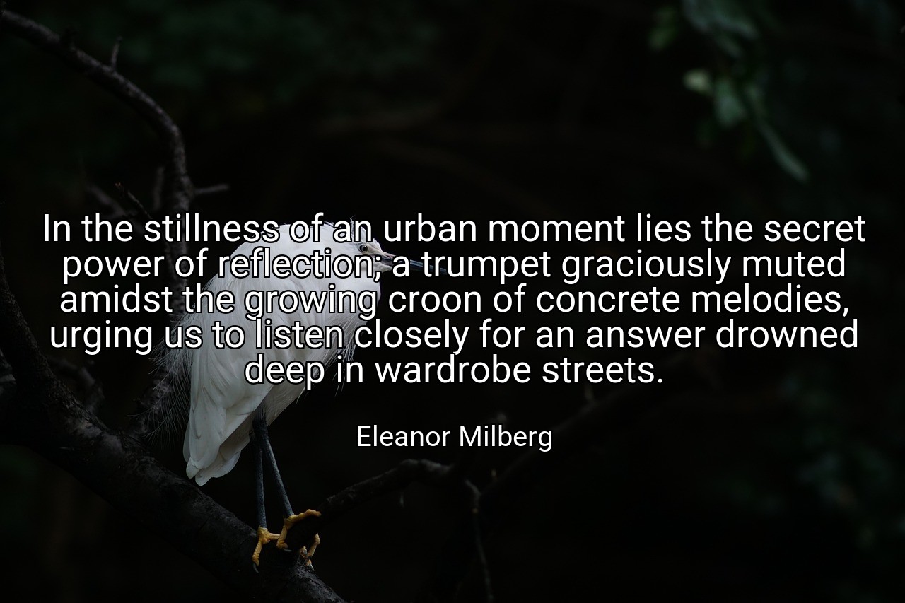 In the stillness of an urban moment lies the secret power of reflection; a trumpet graciously muted amidst the growing croon of concrete melodies, urging us to listen closely for an answer drowned deep in wardrobe streets. - Eleanor Milberg