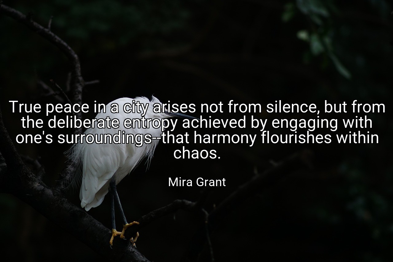 True peace in a city arises not from silence, but from the deliberate entropy achieved by engaging with one's surroundings--that harmony flourishes within chaos. - Mira Grant