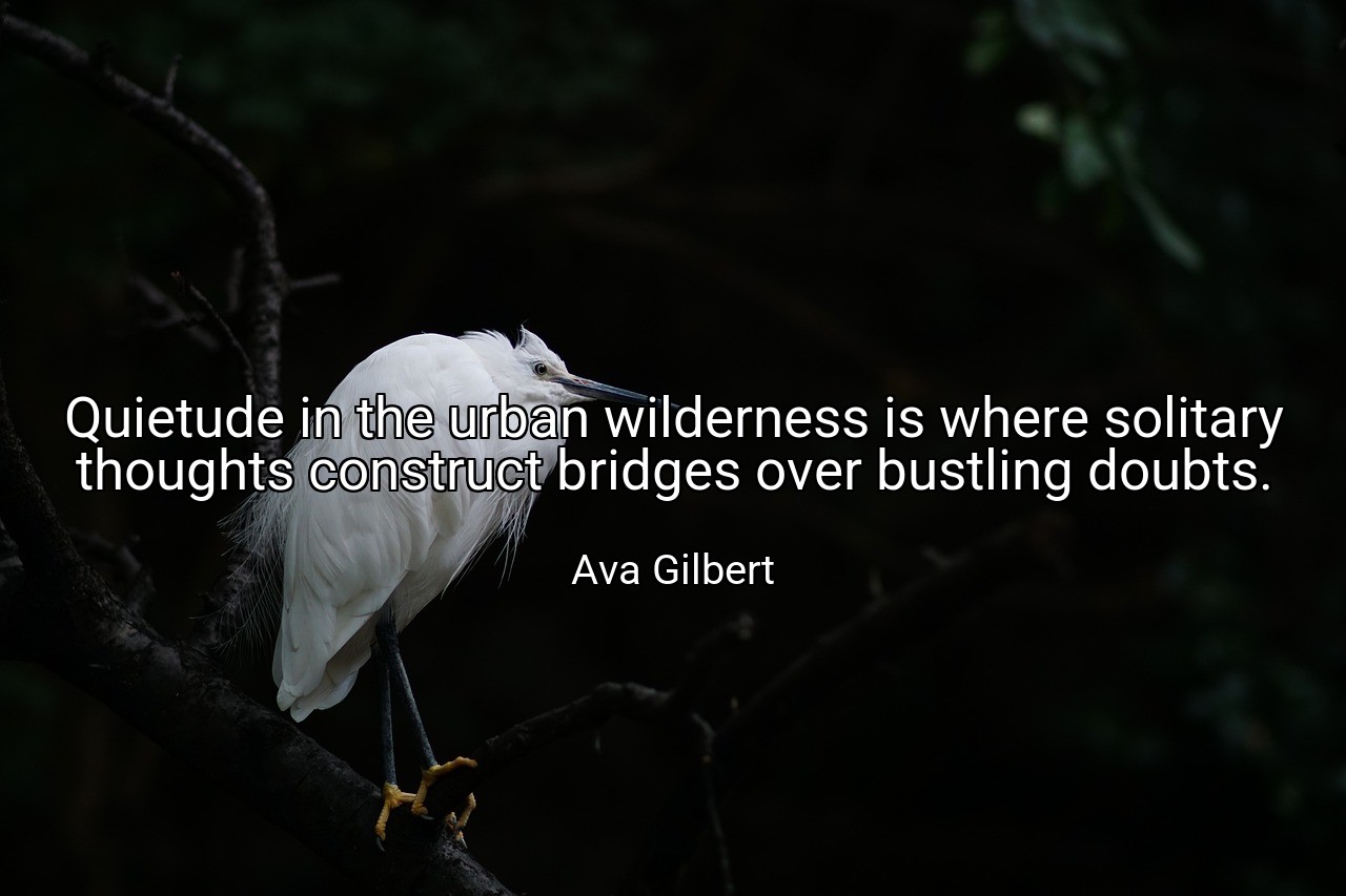 Quietude in the urban wilderness is where solitary thoughts construct bridges over bustling doubts. - Ava Gilbert