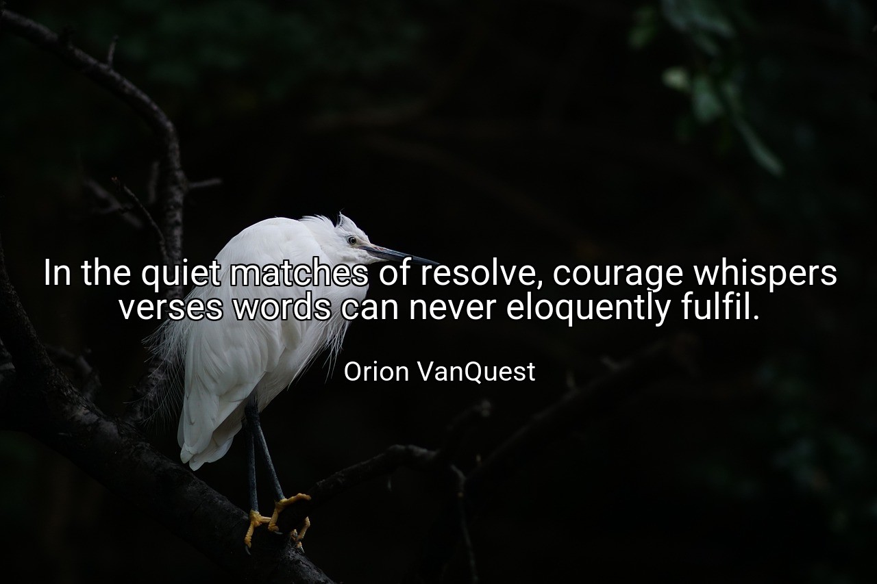 In the quiet matches of resolve, courage whispers verses words can never eloquently fulfil. - Orion VanQuest