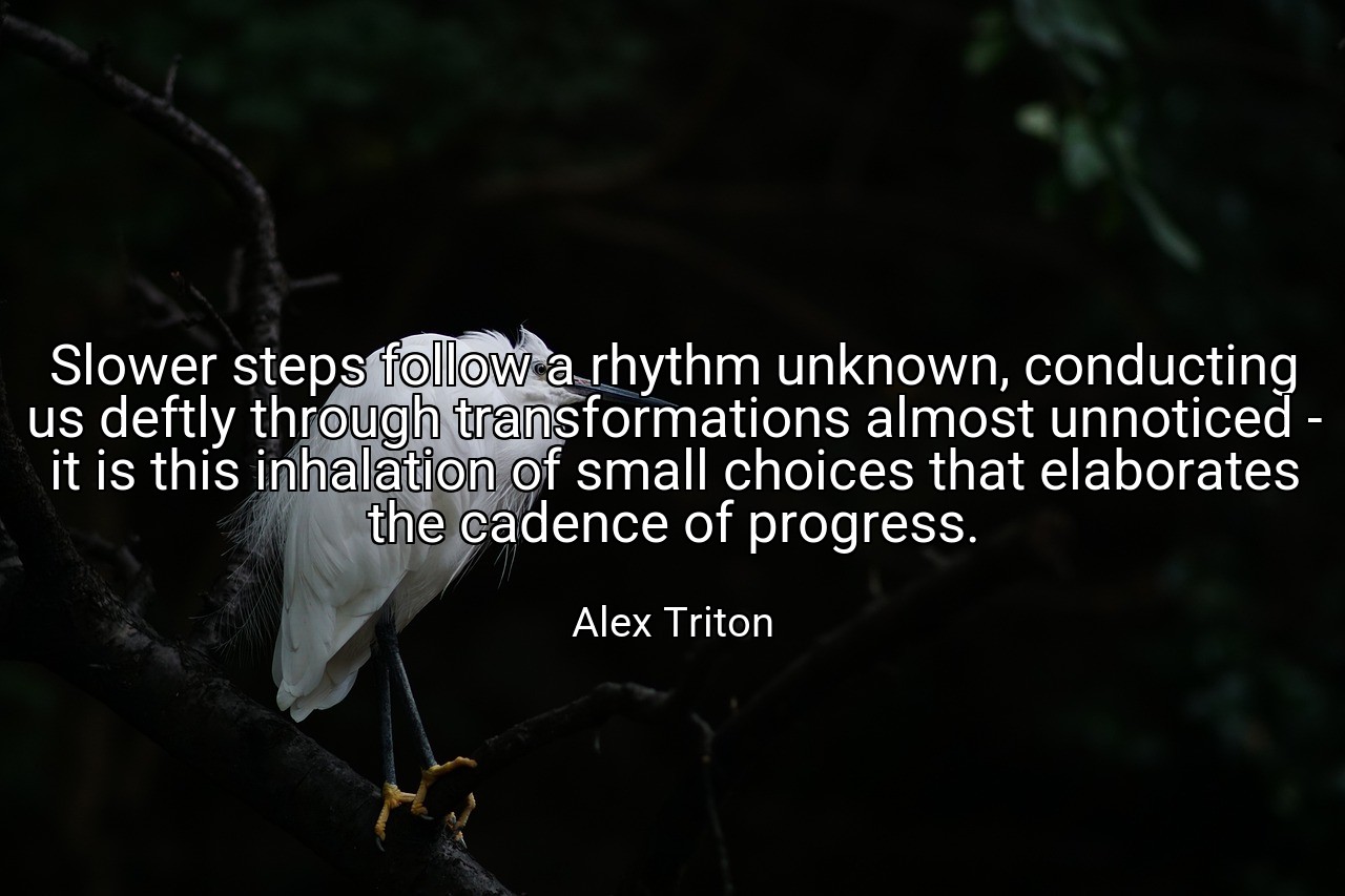Slower steps follow a rhythm unknown, conducting us deftly through transformations almost unnoticed - it is this inhalation of small choices that elaborates the cadence of progress. - Alex Triton