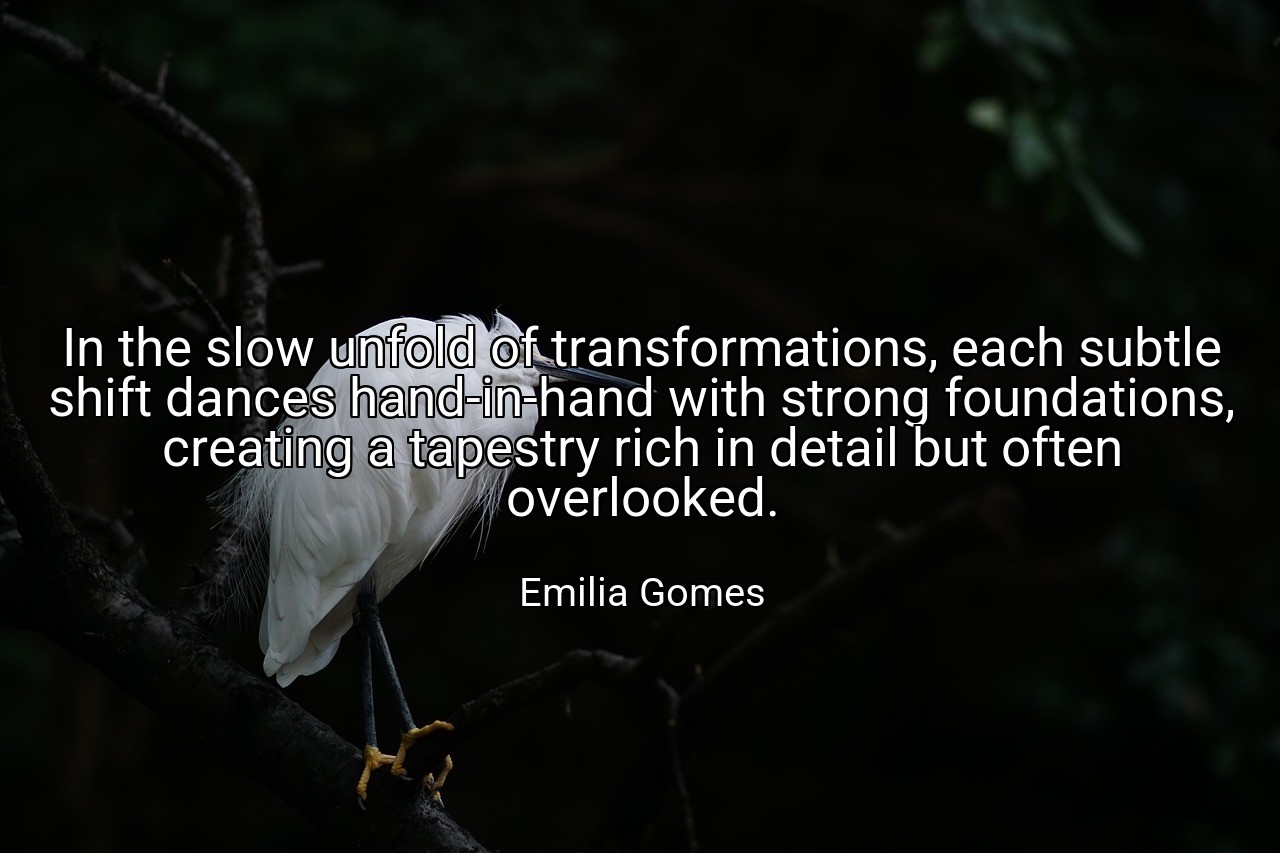In the slow unfold of transformations, each subtle shift dances hand-in-hand with strong foundations, creating a tapestry rich in detail but often overlooked. - Emilia Gomes