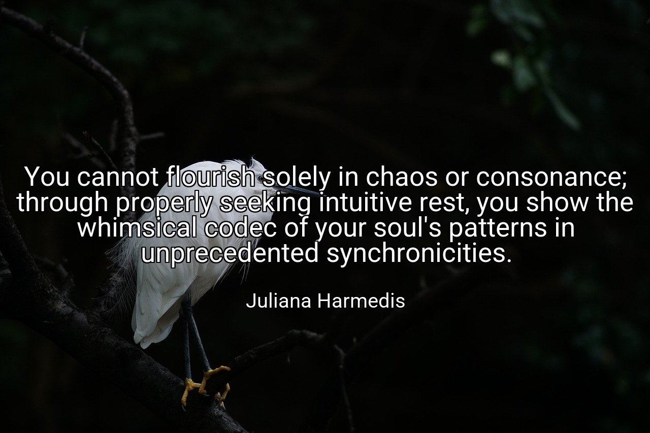 You cannot flourish solely in chaos or consonance; through properly seeking intuitive rest, you show the whimsical codec of your soul's patterns in unprecedented synchronicities. - Juliana Harmedis