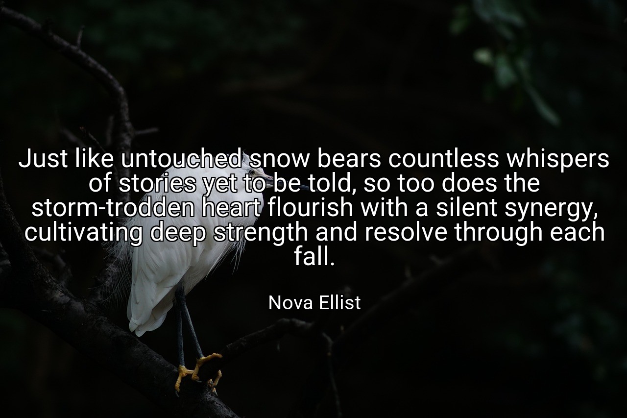 Just like untouched snow bears countless whispers of stories yet to be told, so too does the storm-trodden heart flourish with a silent synergy, cultivating deep strength and resolve through each fall. - Nova Ellist