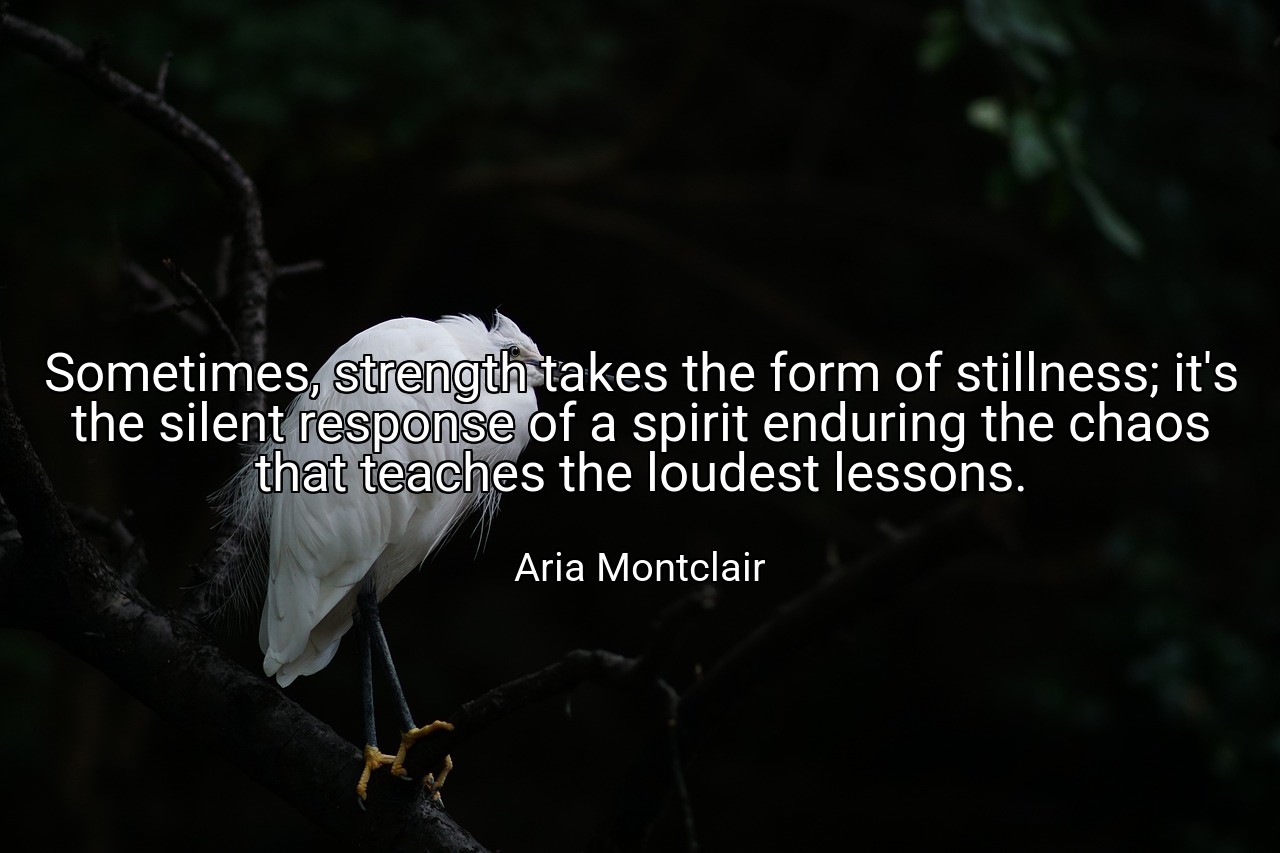 Sometimes, strength takes the form of stillness; it's the silent response of a spirit enduring the chaos that teaches the loudest lessons. - Aria Montclair