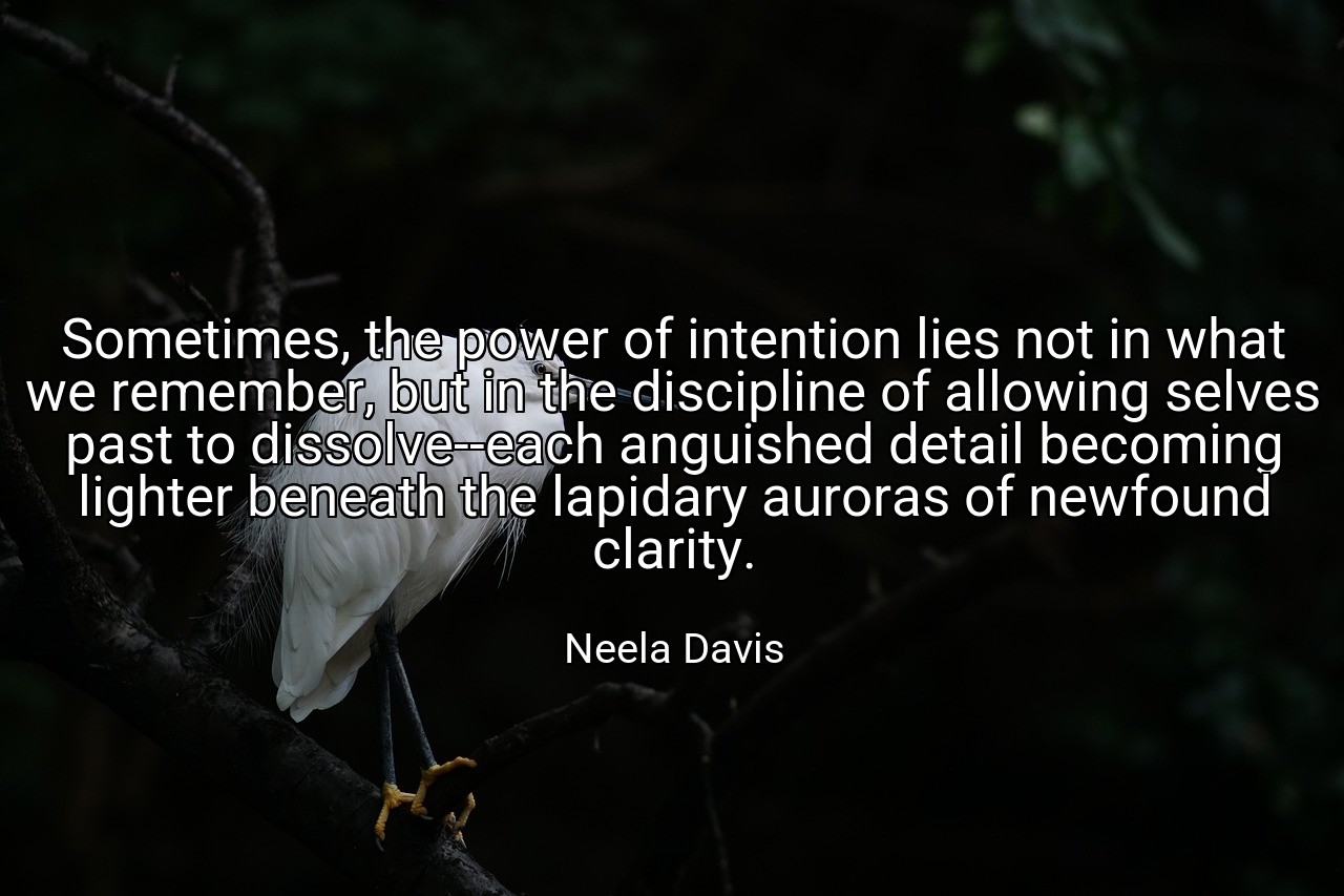 Sometimes, the power of intention lies not in what we remember, but in the discipline of allowing selves past to dissolve--each anguished detail becoming lighter beneath the lapidary auroras of newfound clarity. - Neela Davis