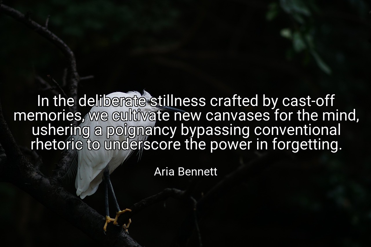 In the deliberate stillness crafted by cast-off memories, we cultivate new canvases for the mind, ushering a poignancy bypassing conventional rhetoric to underscore the power in forgetting. - Aria Bennett