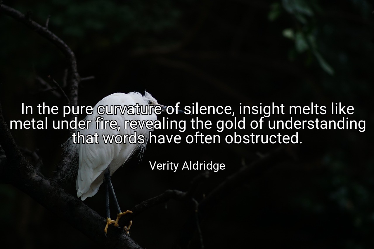In the pure curvature of silence, insight melts like metal under fire, revealing the gold of understanding that words have often obstructed. - Verity Aldridge