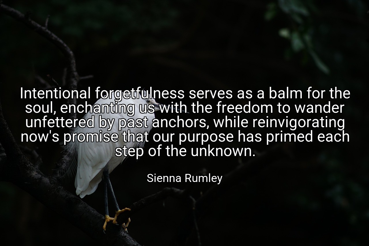 Intentional forgetfulness serves as a balm for the soul, enchanting us with the freedom to wander unfettered by past anchors, while reinvigorating now's promise that our purpose has primed each step of the unknown. - Sienna Rumley