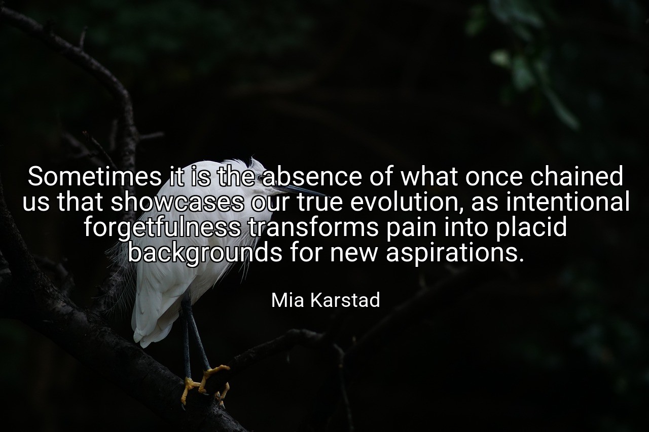 Sometimes it is the absence of what once chained us that showcases our true evolution, as intentional forgetfulness transforms pain into placid backgrounds for new aspirations. - Mia Karstad